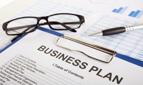 IMPLEMENTATION OF NEW BUSINESSES